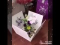 Allah is great my name. Prince feroz Whatsapp Status Video Download Free