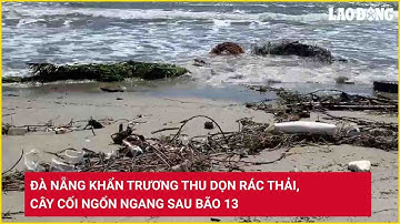 Đà Nẵng khẩn trương thu dọn rác thải, cây cối ngổn ngang sau bão 13 | Báo Lao Động