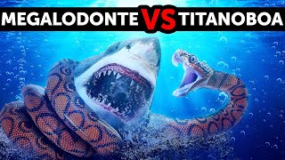 Sfida Tra Giganti: Megalodonte VS Titanoboa