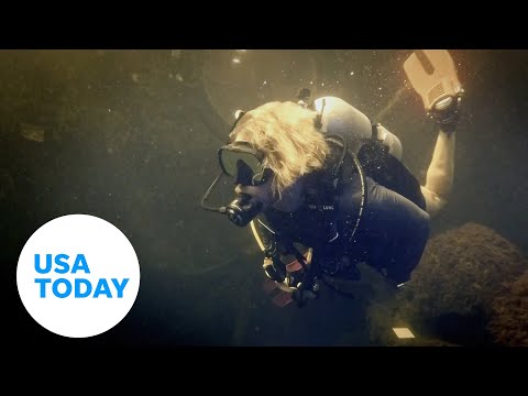 Could living underwater slow aging? One scientist aims to find out.| USA TODAY