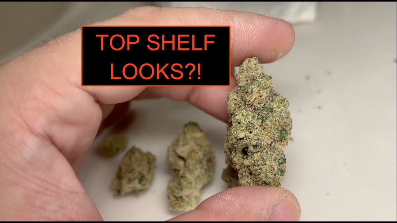 COOKIES Mexican Flan Flower Review- Illinois Strain Review