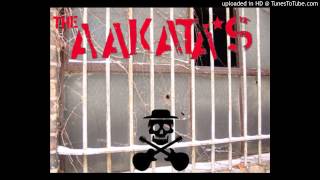 Video thumbnail of "The Aakata's - When We Were Young"