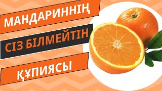 🍊 мандаринның сіз білмейтін құпиясы