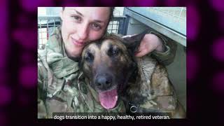 Hero Paws - Soldiering On Awards Finalist 2024, Animal Partnership Award