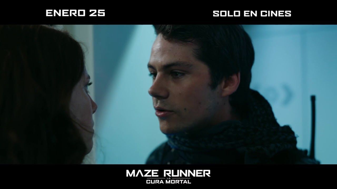 Maze Runner: A Cura Mortal': Elenco faz divertida retrospectiva da  franquia; Assista! - CinePOP