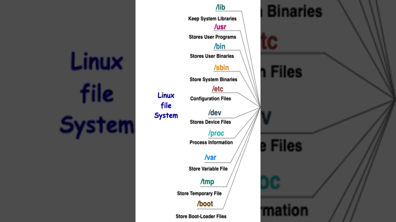Linux | File System | Cheatsheet #shorts #infographic