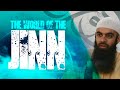 The world of the jinn  comprehensive lecture  abu ibraheem hussnayn