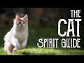 The Cat Spirit Guide - Ask the Spirit Guides Oracle Totem Animal - Power Animal - Magical Crafting