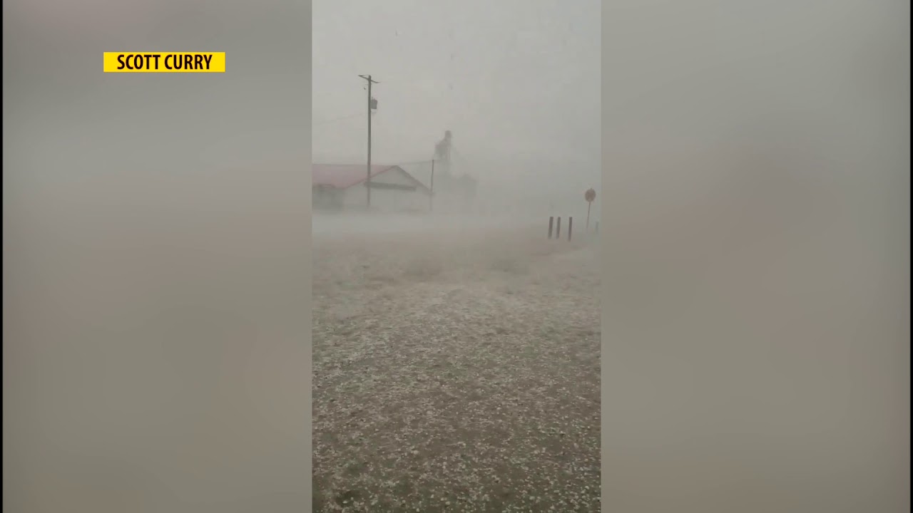 Golf ballsized hail does severe damage in northcentral Montana YouTube