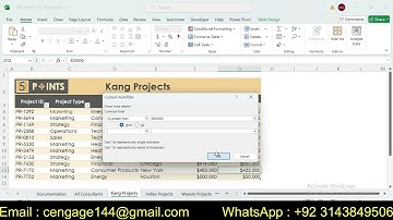 Excel Module 6 SAM Critical Thinking Project C | Five Points Group | NP_EX365_CT6C
