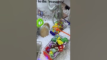 Can’t believe the owner put this in the claw machine! Part 11 #clawmachine #arcade #prize