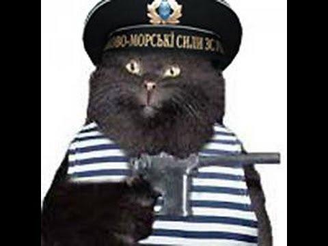 Оп 2.2 Д Пантенол