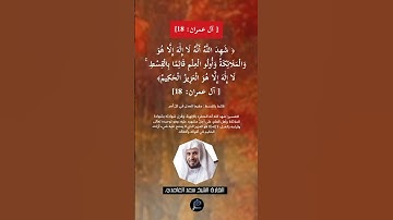 الآية (18) من سورة آل عمران//القارئ الشيخ سعد الغامدي
