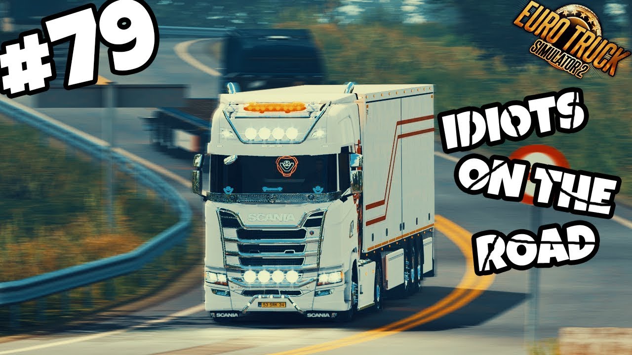 Euro Truck Simulator 2 Multiplayer: IDIOTS ON THE ROAD | #79