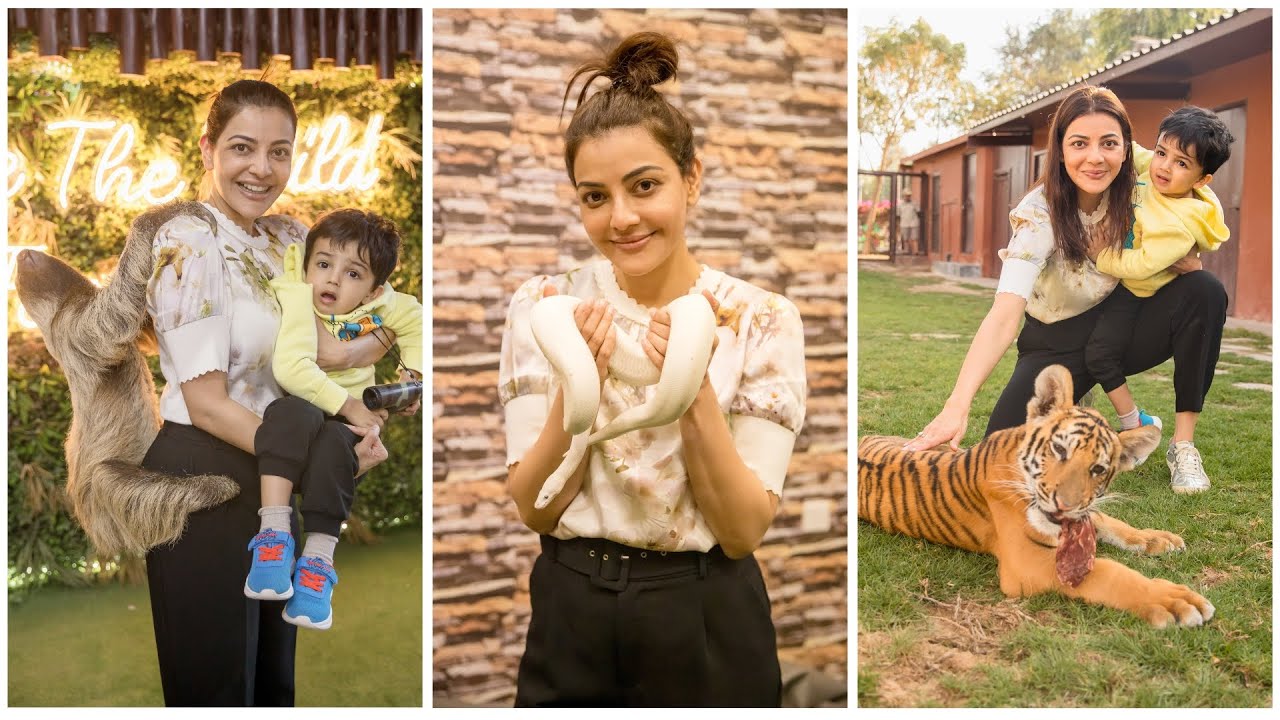KAJAL AGGARWAL Inside Dubai BILLIONAIRE'S Private ZOO!🦁🔥  #tollywoodactress