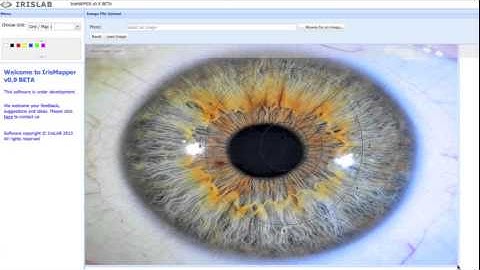 IRISLAB IrisMapper Introduction