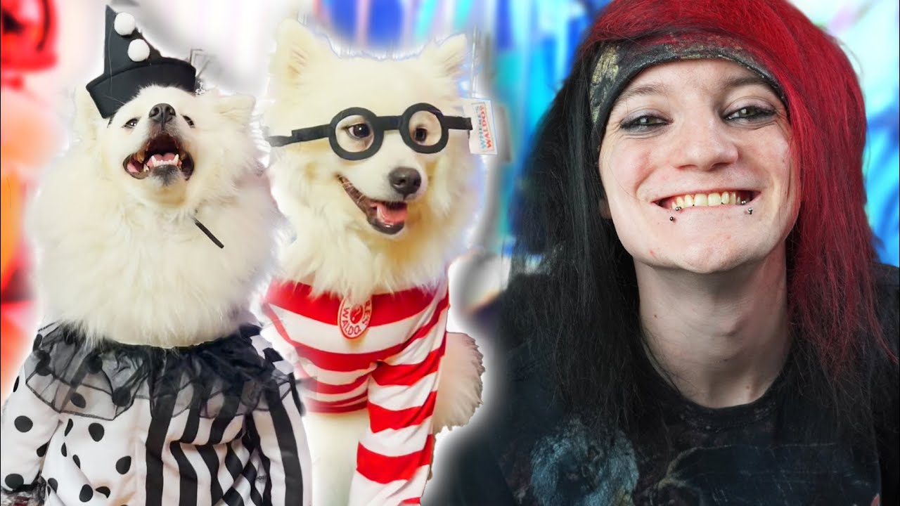 The CUTEST Dog Halloween Costumes YouTube the-cutest-dog-halloween-costumes-youtube