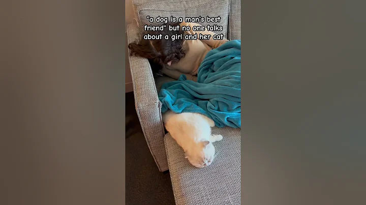 Watch the video about Girl and her cat ❤️ #kikicutekitty #love #relatable #relationship #fyp #catandhuman #catlover