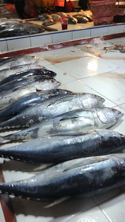 belanja ikan di pasar flamboyan pontianak #domarfamily #food #jangkauanluas #pasarflamboyan
