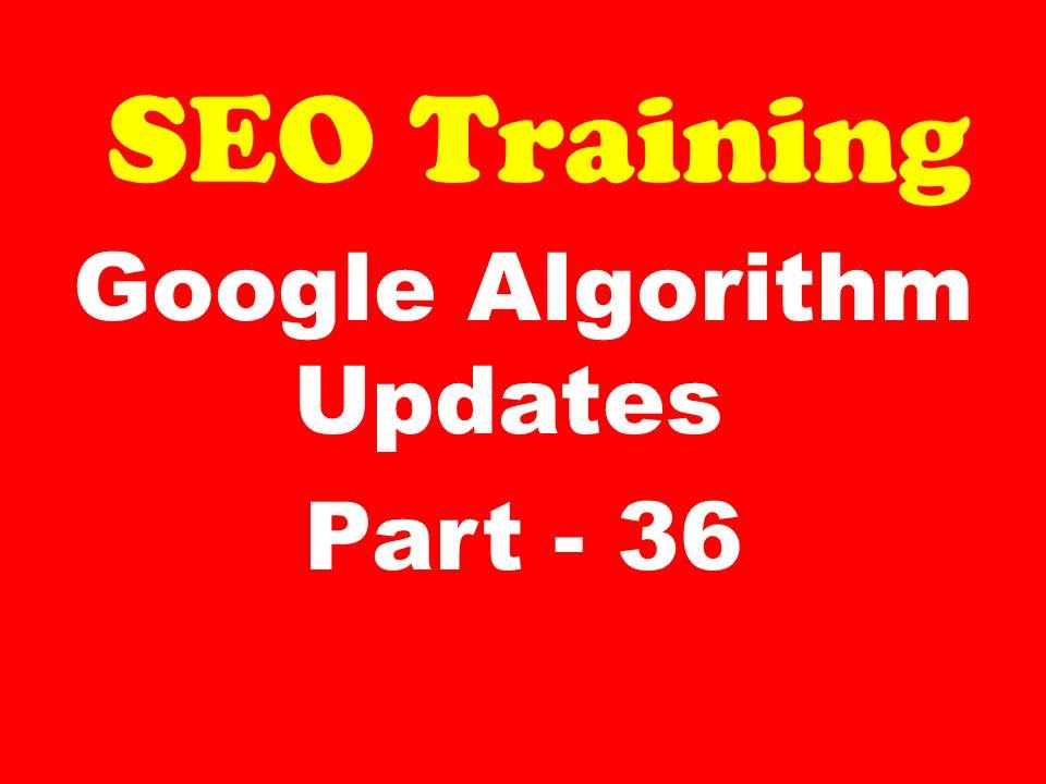 SEO Training - Google Algorithm Updates
