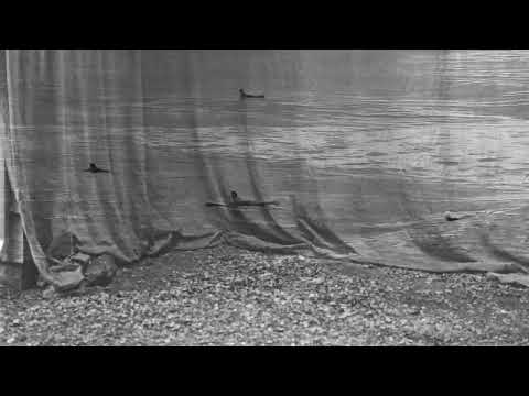 Sleduj Luke Sital-Singh - Summer Somewhere (Official Visualizer) na YouTube