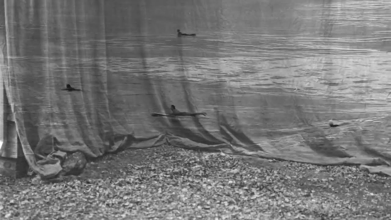 Mira Luke Sital-Singh - Summer Somewhere (Official Visualizer) en YouTube