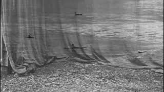 Luke Sital-Singh - Summer Somewhere (Official Visualizer)
