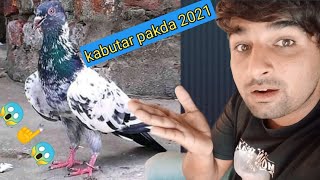 Raat bahir Raha kabutar pakda | chudi Mari pigeons | Urdu Hindi | by Faisalabad pigeon