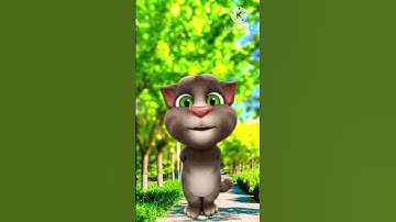 bhohpuri song bhojpuri gana #shortvideo #billi #video #shortfeed #subscribe #cat #trending #viral