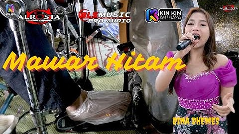 MAWAR HITAM || DHINA DHEMES || AL ROSTA || BLS PRO AUDIO || KIN KIN MULTIMEDIA