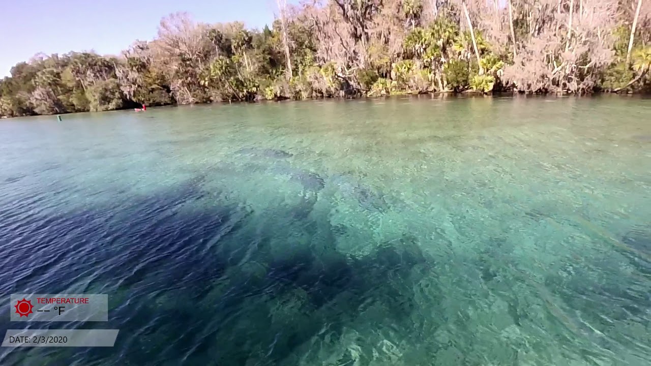 Silver Glen Spring on Lake George (manatees w/a little bowfishing