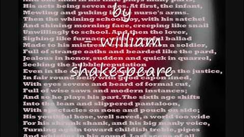 human life span development