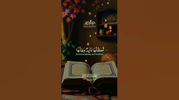 لا تهرب انهزالقران الكريم #اكسبلور #القزابري #youtubeshort #duet #المصحف #دويتو #الرحمن #لايك #