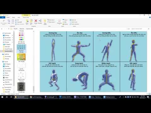 Video Kỳ kinh bát mạch. - youtube