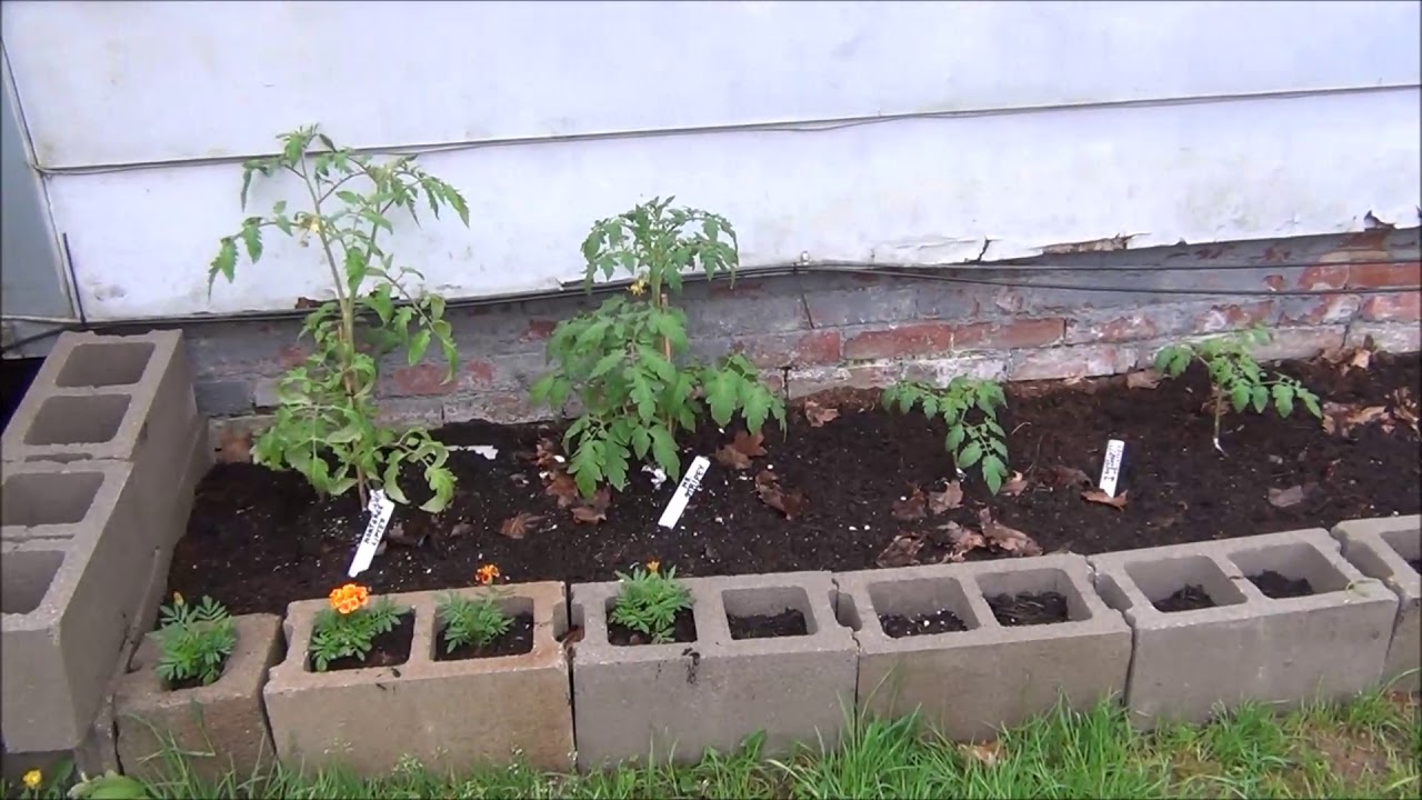 How I Made Another Raised Bed ( in my front yard) - YouTube