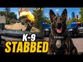 K-9 Stabbed After Molotov Cocktail Attack on Police | Police Bodycam 2026