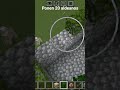 parte 2
