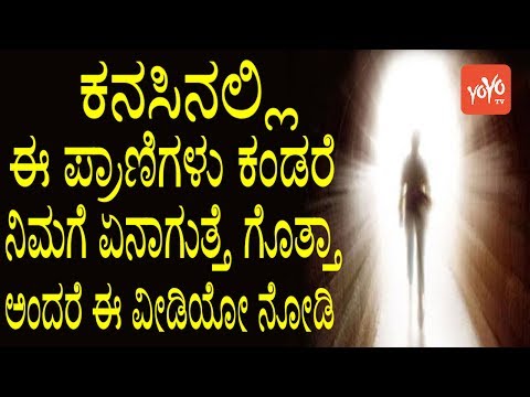 ಕನಸಿನಲ್ಲಿ ಈ ಪ್ರಾಣಿಗಳು ಕಂಡರೆ ನಿಮಗೆ ಏನಾಗುತ್ತೆ ಗೊತ್ತಾ ಅಂದರೆ ಈ ವೀಡಿಯೋ ನೋಡಿ | YOYO TV Kannada