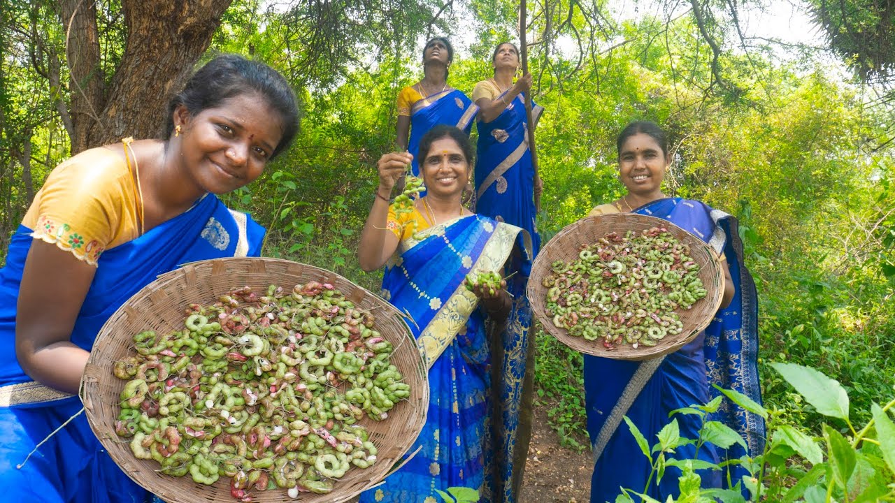 Hunting Fresh Manila Tamarind kona puliyanga Hunting At Forest And