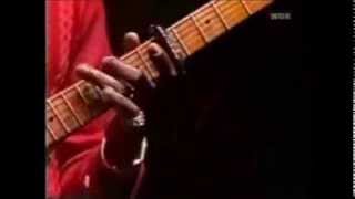 Albert Collins Live- Cold Cold Feelin
