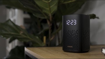 Xiaomi Smart Speaker with IR Control