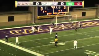 Fall 2015 highlights