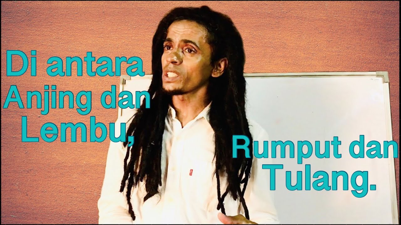 Di antara Anjing Dan Lembu, Rumput Dan Tulang...