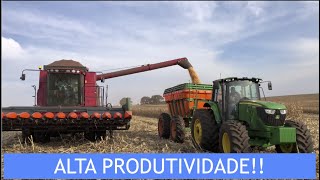 COLHEITA 13/07/21- CASE 2688 CASE 4130 -  MILHO AGROESTE 1777 - O MAIS PRODUTIVO NESTA SAFRA #23