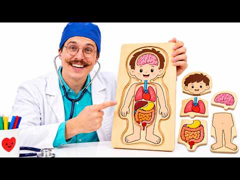 Inside the Human Body 🧠🫁 Organs & Body Parts