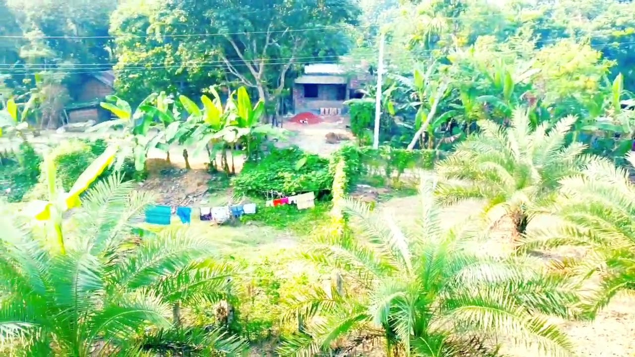 মাছদীঘার মনোরম পরিবেশে