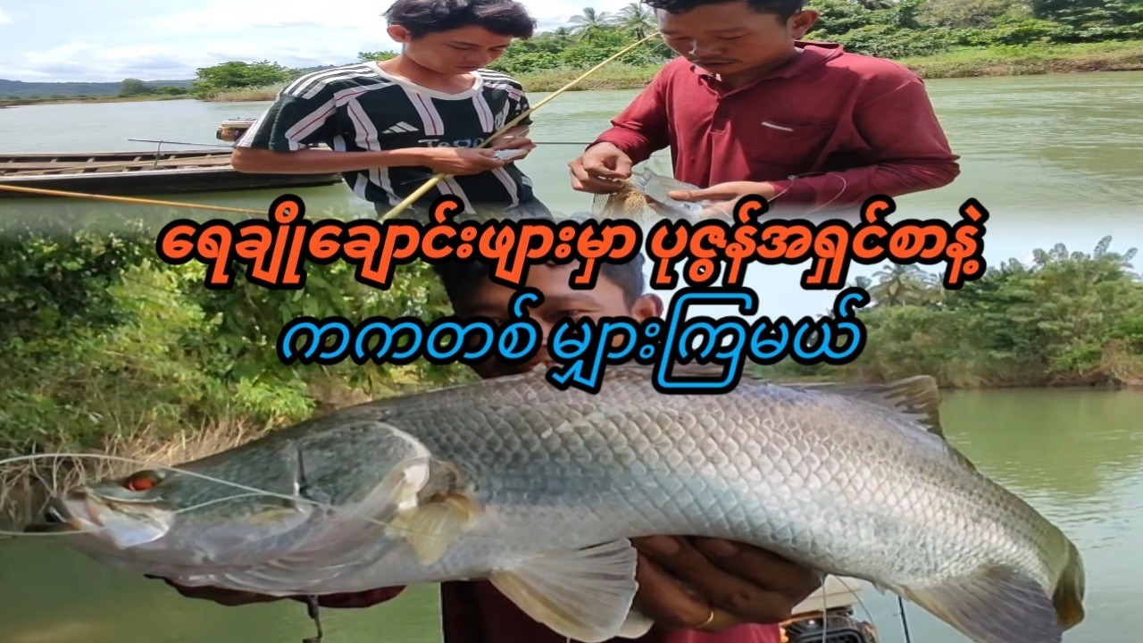 ရေချိုချောင်းဖျားမှာ ပုဇွန်အရှင်စာနဲ့ ကကတစ်မျှားကြမယ်