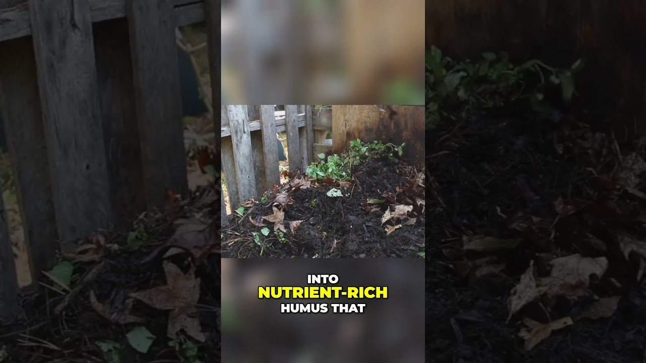 4 Soil Secrets: Transform Your Yard & Heal the Planet NOW! 