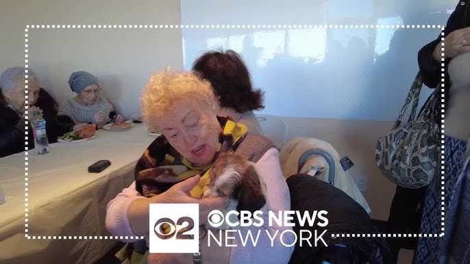 Therapy Dogs Help Holocaust Survivors In Brooklyn