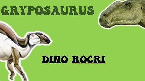 Gryposaurus/ Dino Rocri